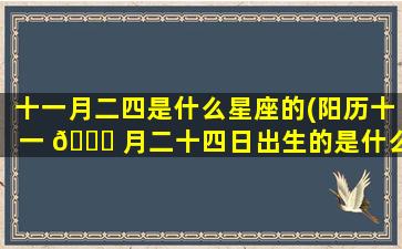 十一月二四是什么星座的(阳历十一 🕊 月二十四日出生的是什么星座)